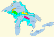 Superiordemocraticprimary2008