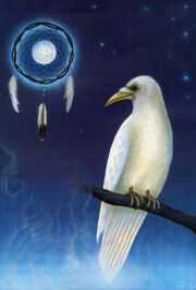 White raven dreamcatcher