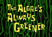 The Algae's Always Greener