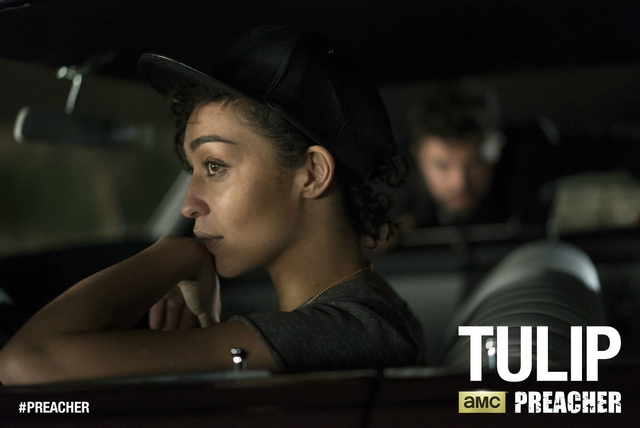 File:Tulip - First look.png