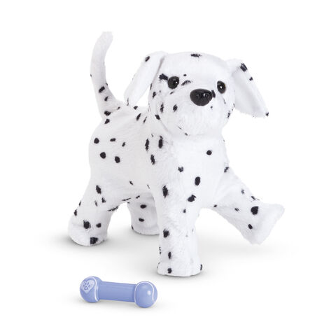 File:DalmatianPuppy2014.jpg