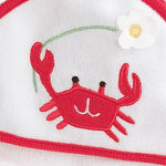 SeashoreCrab