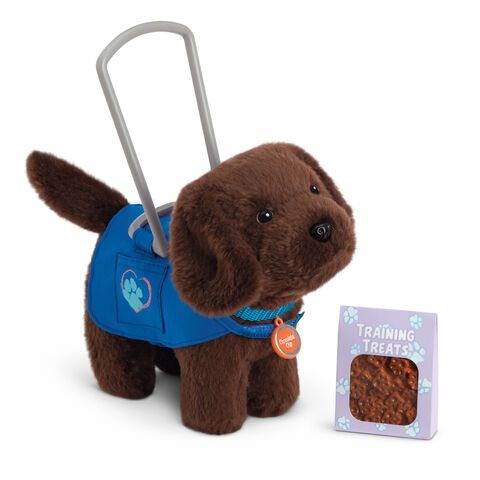 File:ServiceDogSet.jpg