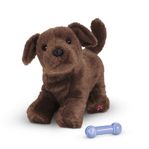 ChocolateLabPuppy2014