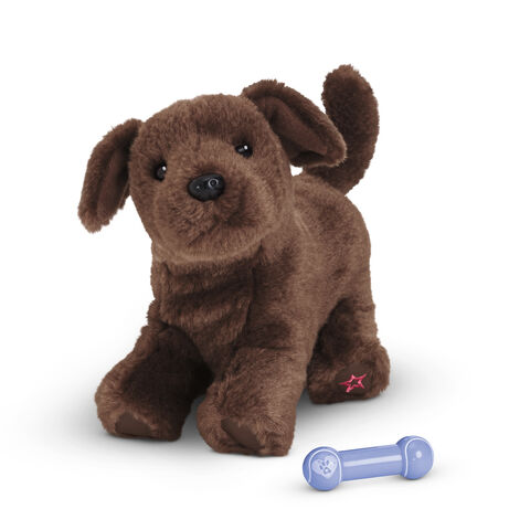 File:ChocolateLabPuppy2014.jpg