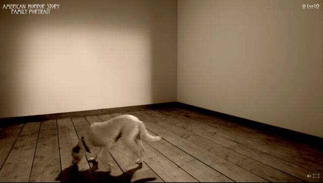File:Violetdog.jpg