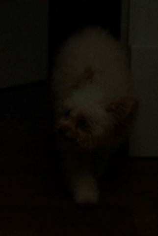 File:Hallie.png