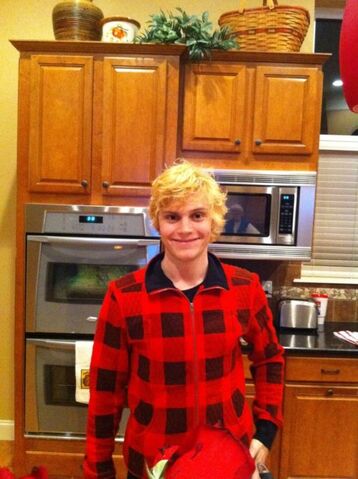 File:Evanfakeblonde.jpg