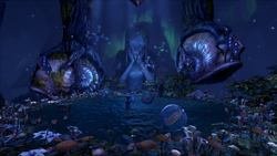 Inside a Radula Room