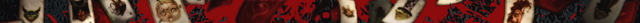 File:Wikia header.png