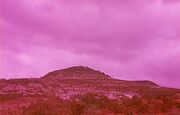 Tierra Rosa-1-.jpg