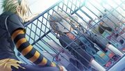Toma-StuffedAnimals.jpg
