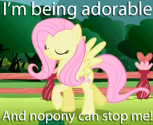 File:Fluttershy being adorable.gif