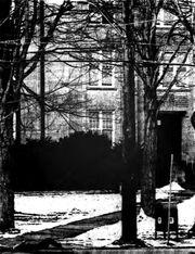 Anthony Barbaro school