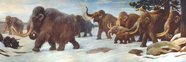 File:Mammoths.jpg