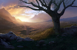 Plain Lands