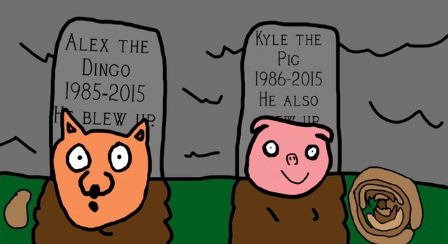 File:Or not.png