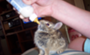 File:90x55x2-75256 1688188915.png