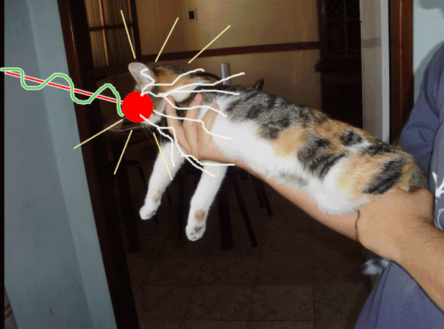 Archivo:Arma de Gato.gif