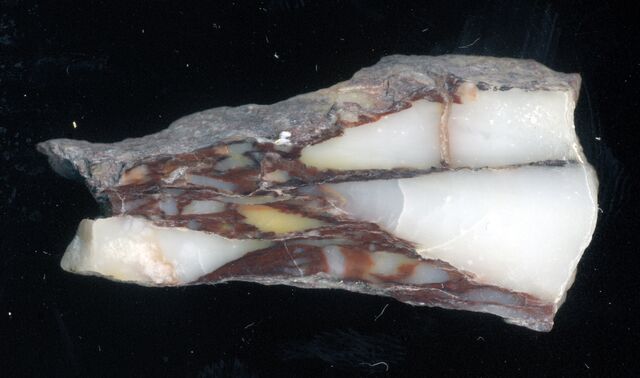 File:Breccia di Sciro o Settebasi .jpg