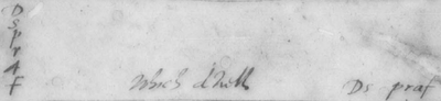 19-dspraf