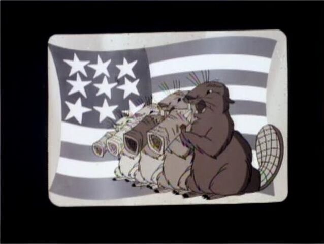 File:Beavers chewing on wood.jpg