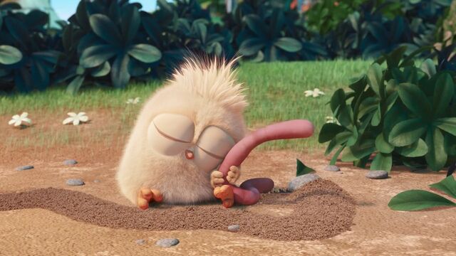 File:Hatchlings Short 3.jpg