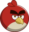 Trop race bird