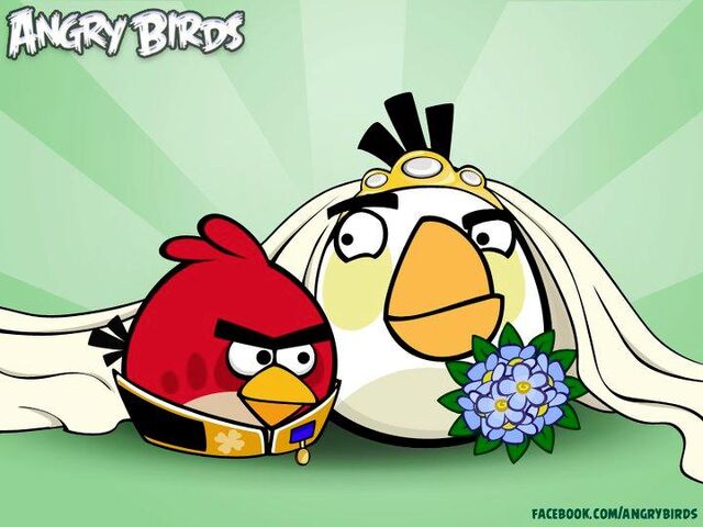 File:White bird iz girl.jpg
