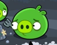 Свинья из Bad Piggies.jpeg