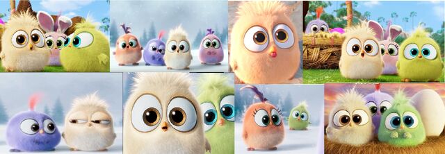 File:Angry-birds-800.jpg