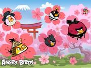 300px-Angry-Birds-Seasons-Cherry-Blossom-02.jpg