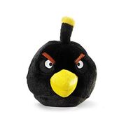 Black bird