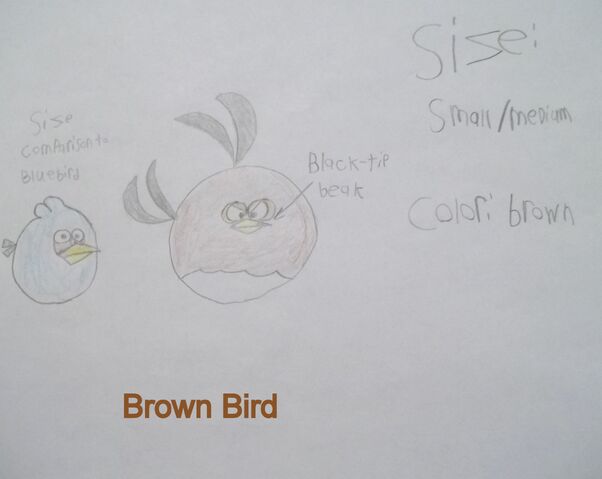 File:Brown bird data.jpg