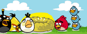 Birds without Eggs
