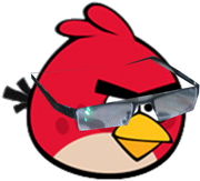 Red goggle bird