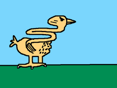 Elastic bird