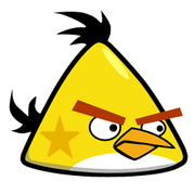 Star bird