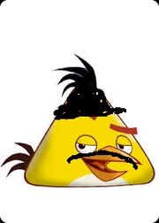 Artist bird