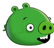 Pac-pig