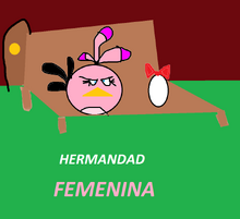 HERMANDAD FEMENINA.png