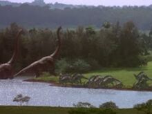 Dinosaurs