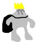 Grey King