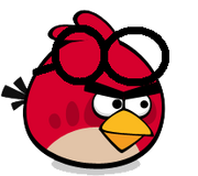 Goggle-Bird-2