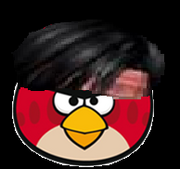 Liu kang bird.png