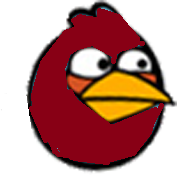 Maroonbird
