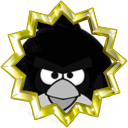 Badge-5428-7