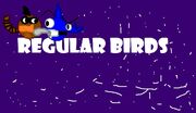 Regular birds