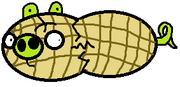 Peanut 1