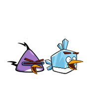 Baby Ice Bird